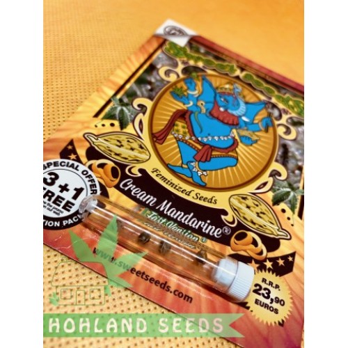 Cream Mandarine F1 Fast Version
