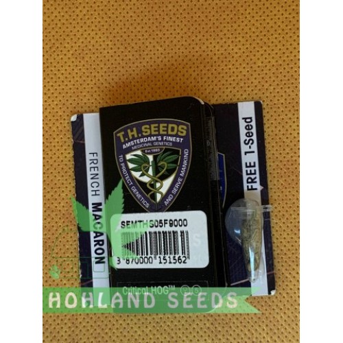 Critical Hog Critical Hog