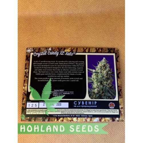 Crystal Candy XL Auto