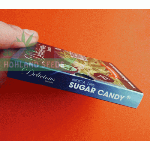 Sugar Candy