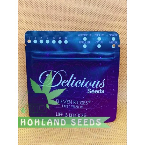 Eleven Roses Early Version Eleven Roses Early Version