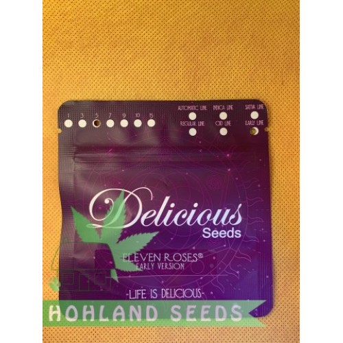 Eleven Roses Early Version Eleven Roses Early Version