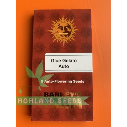 Glue Gelato Auto