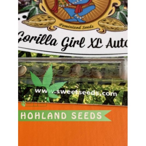 Gorilla Girl XL Auto Gorilla Girl XL Auto