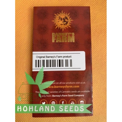 Gorilla Zkittlez Auto