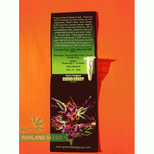 Grand Daddy Purple Regular