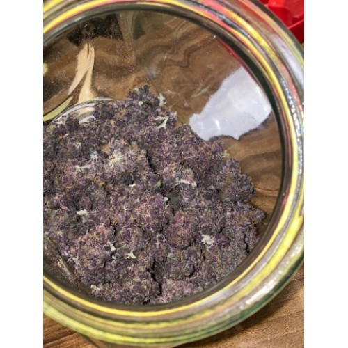 Grand Daddy Purple Regular