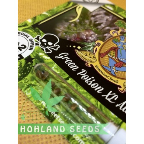 Green Poison XL Auto