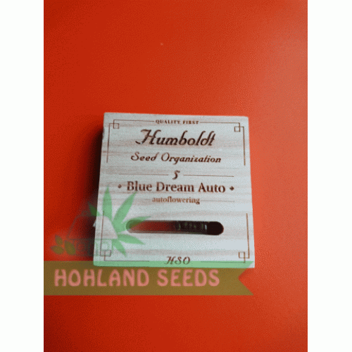 Blue Dream Auto
