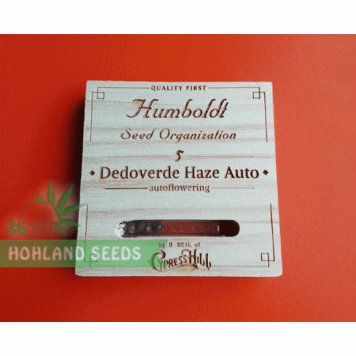 dr. Greenthumb’s Dedoverde Haze Auto dr. Greenthumb’s Dedoverde Haze Auto