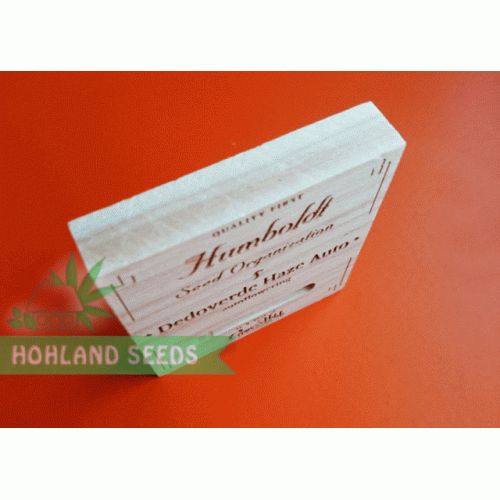 dr. Greenthumb’s Dedoverde Haze Auto dr. Greenthumb’s Dedoverde Haze Auto