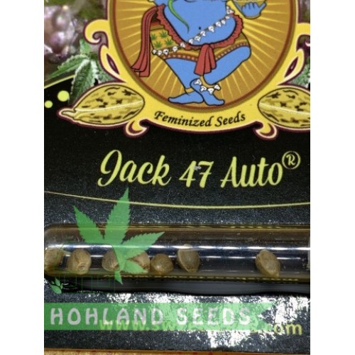 Jack 47 Auto