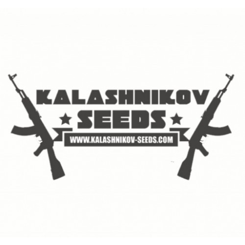 Moscow Blueberry Auto