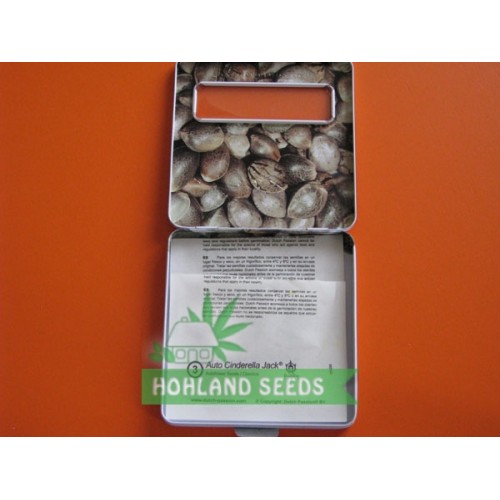 Auto Cinderella Jack Auto Cinderella Jack