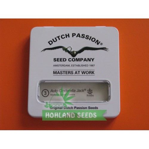 Auto Cinderella Jack Auto Cinderella Jack