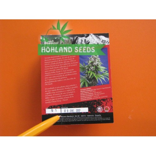 Killer Kush F1 Fast Version Killer Kush F1 Fast Version