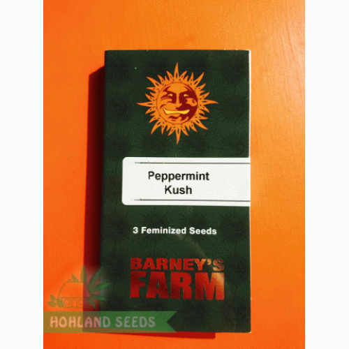 Peppermint Kush