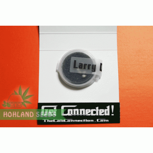 Larry OG Kush Larry OG Kush