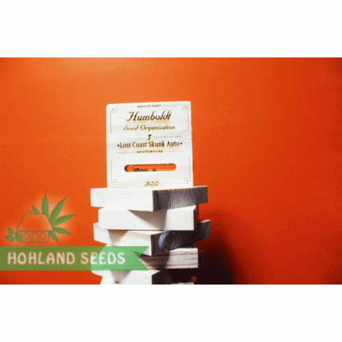 Lost Coast Skunk Auto Lost Coast Skunk Auto