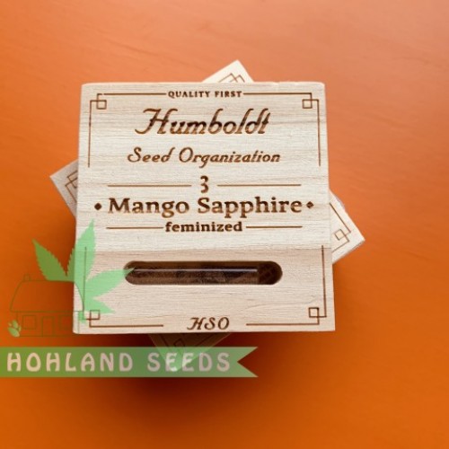 Mango Sapphire Mango Sapphire