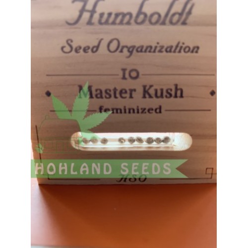 Master Kush