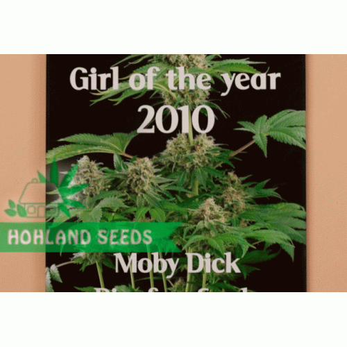 Moby Dick