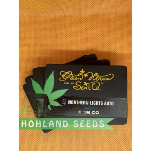 Northern Lights Auto