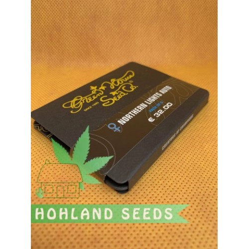 Northern Lights Auto