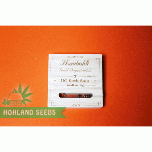 OG Kush Auto