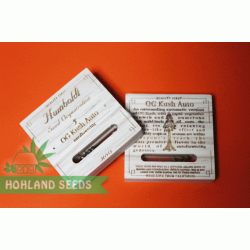 OG Kush Auto