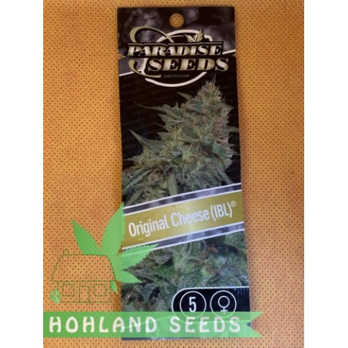 Original Cheese (IBL)