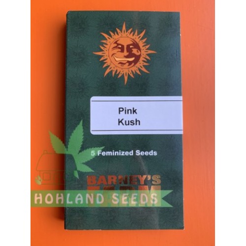 Pink Kush Pink Kush