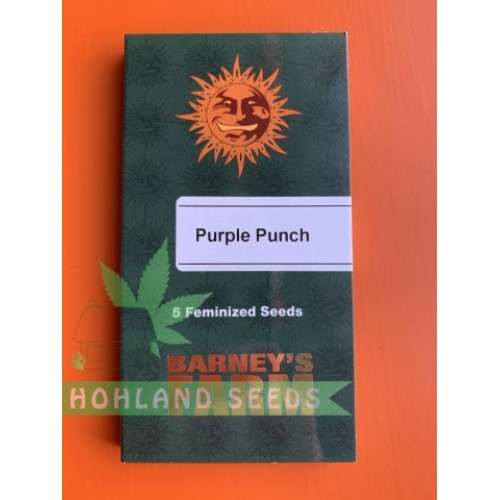 Purple Punch