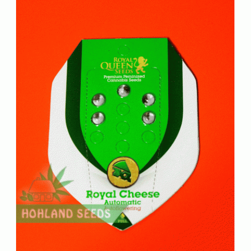 Blue Cheese Automatic