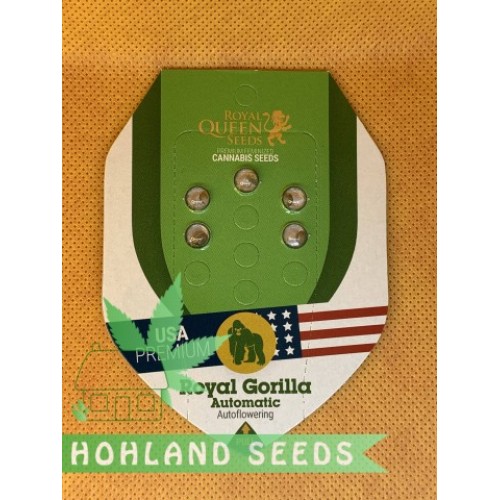 Royal Gorilla Automatic