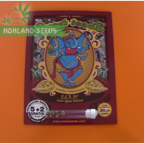 S.A.D. S1 Sweet Afghani Delicious S.A.D. S1 Sweet Afghani Delicious