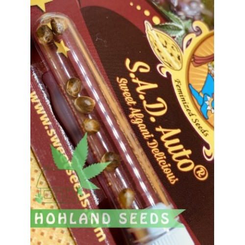 S.A.D. Sweet Afghani Delicious Auto