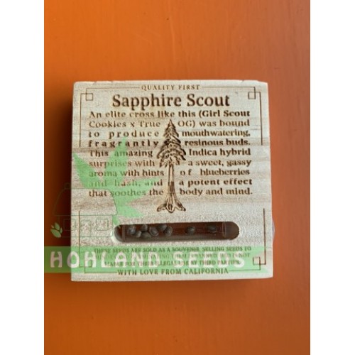 Sapphire Scoute Sapphire Scoute