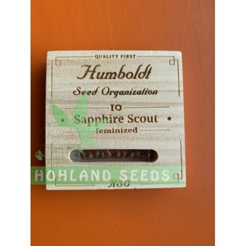 Sapphire Scoute Sapphire Scoute