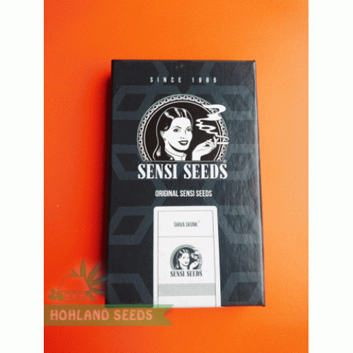 Shiva Skunk Automatic