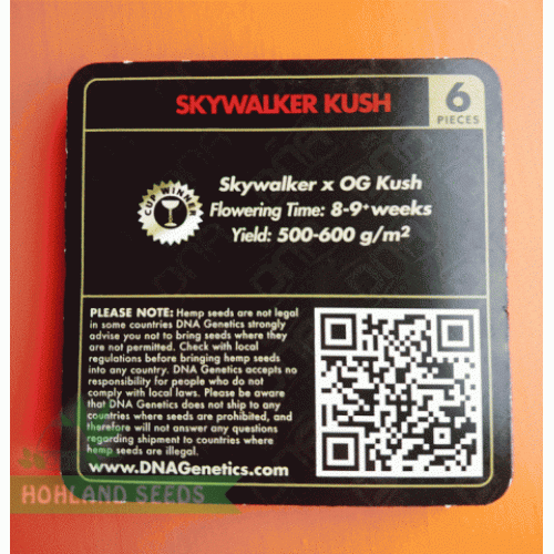 Skywalker Kush