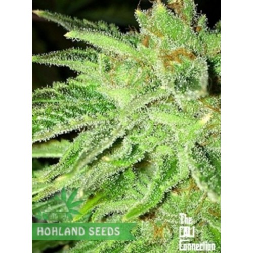 Strawberry OG Strawberry OG