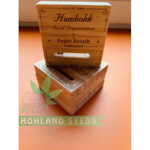 Sugar Breath Sugar Breath