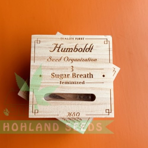 Sugar Breath Sugar Breath