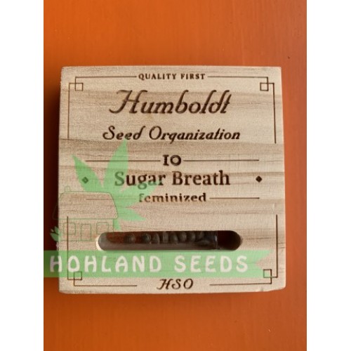 Sugar Breath Sugar Breath