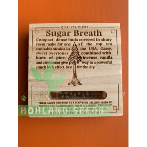 Sugar Breath Sugar Breath