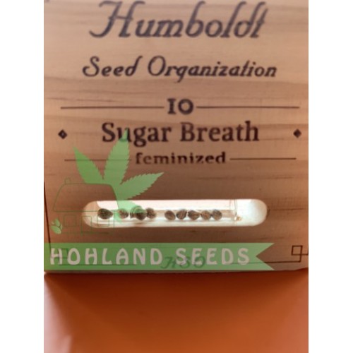 Sugar Breath Sugar Breath