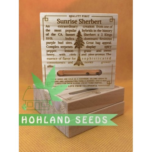 Sunrise Sherbert Sunrise Sherbert