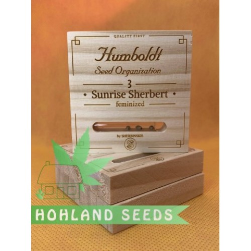 Sunrise Sherbert Sunrise Sherbert