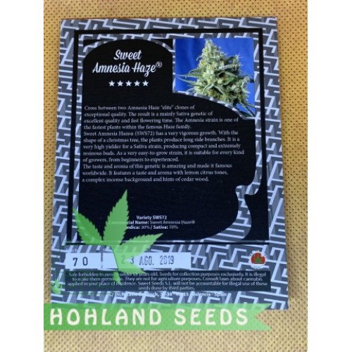 Sweet Amnesia Haze XL Auto